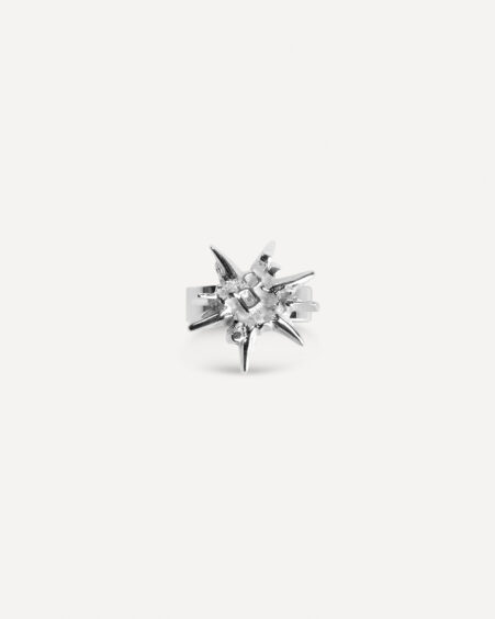 Ring Nr. 617